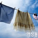 여럿 이미지