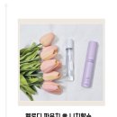 오드니치(ODD NICHE) | 첫 향수 고민 끝! 🌷 엘로디 데일리향수 추천 이유