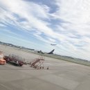 메구미카츠 | 대문자 I 오타쿠의 혼자 떠난 4박 5일 일본 오사카 여행 ✈️🇯🇵 북 앤 베드 도쿄 신사이바시 / 사라사 호텔...