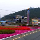 고흥읍사무소 이미지