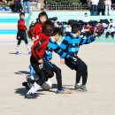 금정초등학교 - 영암군 | 금정초등학교