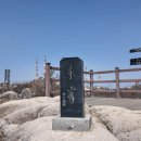 서봉 | [팔공산 등산코스] 수태골 코스로 동봉, 비로봉, 서봉 완등 후기 (꿀팁 방출)