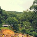 동막골 족구장 이미지