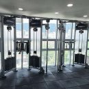 고구마 휘트니스 이미지