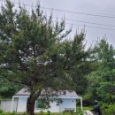 도치빌펜션 | 가평 애견펜션 도치빌펜션