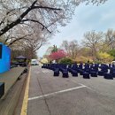 홍릉 | 스타킹의자,홍릉숲 오픈행사 “안녕, 홍릉의 봄” 현장 후기