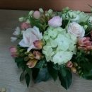 올림픽프라자상가 이미지