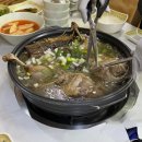 석곡 | 세종시 금남면 석곡오리촌 방문 후기