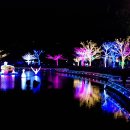 거북공원-2　 이미지