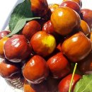 유한농장 이미지