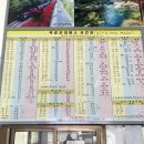 농어촌버스매표소 네이버블로그