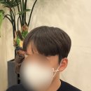 뷰티) 남자 가르마펌&다운펌 후기 (@. 보정동 장지연 네츄럴헤어)