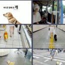 브이노마드