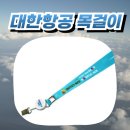 같은 디자인, 다른 매력｜대한항공목걸이 2종 제작 후기