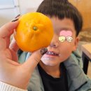 육지&해녀 | [국내여행] 제주 마지막날 협재해녀의집 그리고 제주동문시장 후기