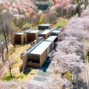 경주솔거미술관 이미지