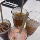 투썸플레이스동해 | 수족관 있는 카페? 감포 투썸플레이스 오션뷰 루프탑 후기🌊🐟