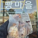 빵마을 | 포항소금빵맛집 우현동빵집 빵마을 후기
