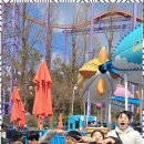 라이온태권도장 이미지