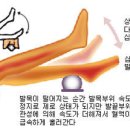 혈액순환과 건강에 정말 좋은 발목펌프 운동법 이미지