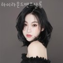 하이살롱 이미지