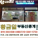황금알부동산공인중개사사무소 이미지