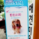 버들동물병원 네이버블로그