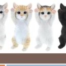 워너비 동물병원 이미지