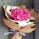 샤론화원 이미지