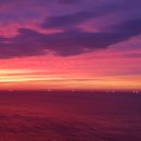 주식회사 펫토피아 이미지