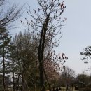 장자호수길 이미지