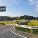 행정초등학교 | [청주가볼만한곳] 가덕면 코스모스길 다녀온 후기! (꽃천지가덕 코스모스길! 허수아비길) 청주가을...