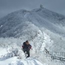 2월11일 토요일 화순 모후산 눈산행 이미지