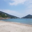 설리해수욕장 네이버블로그