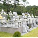 보람환경 이미지