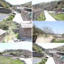 청대농산물