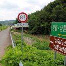 의령 성황리 소나무 이미지