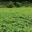 내설악농장 이미지