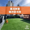 몽샤르망 애견유치원 이미지