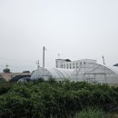 송전한의원 이미지