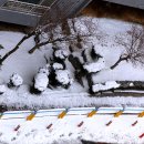 아침풍경 이미지