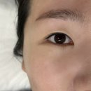 수진역 3번출구 | 수진역 속눈썹펌 추천맛집💚래쉬문에서 자연스러운 속눈썹연장 후기