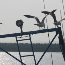 바다여행 이미지