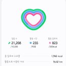 민속촌 | [공지] 내돈내산 - 세상 힙한 한국민속촌 방문 후기