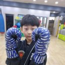 천룡합기도 이미지