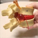 유일한한의원 이미지