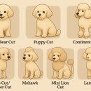 퍼피 베어(PUPPY-BEAR) 이미지