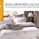 고양이브자리