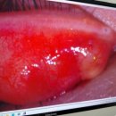 구월김안과의원 이미지