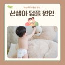 딤플